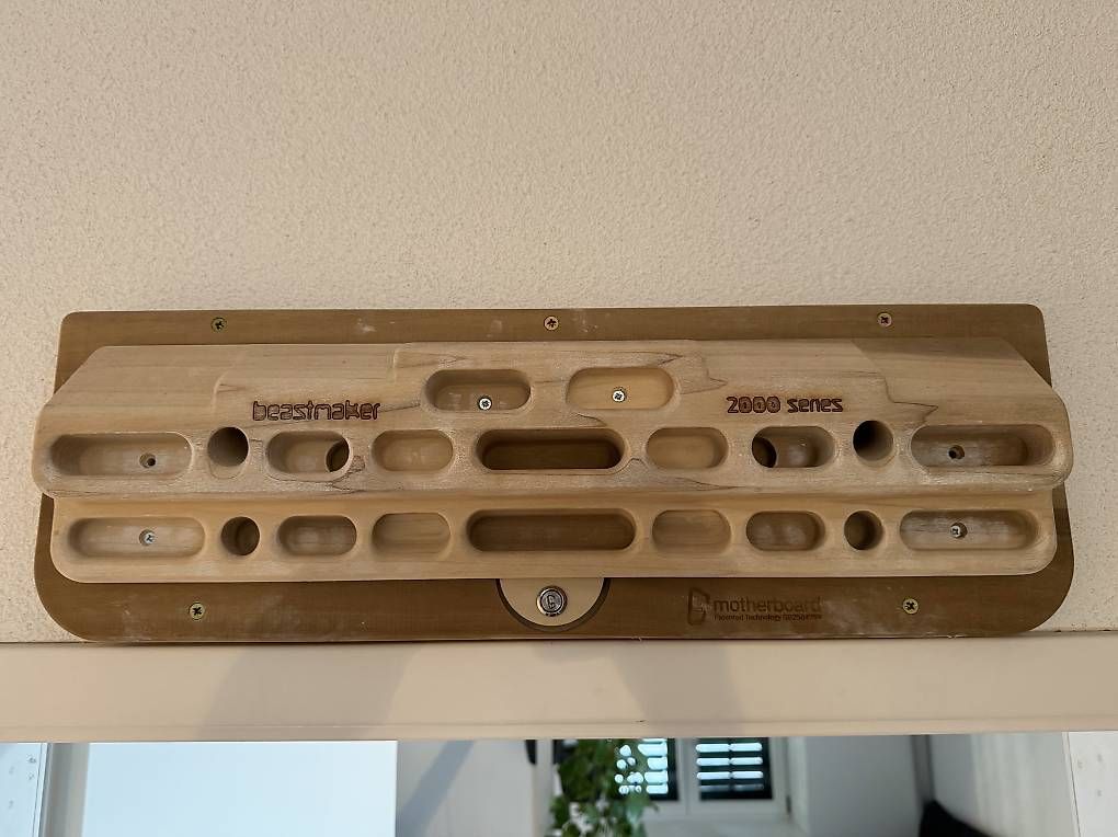 Motherboard Beastmaker 2000 (Gebraucht) in Grafstal für CHF 200 – mit ...