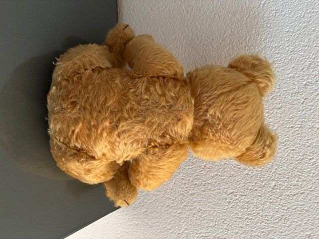 Spielzeuge: Alter gut erhaltener Bär – Gebraucht aus Bülach von Gluecksgriff 1