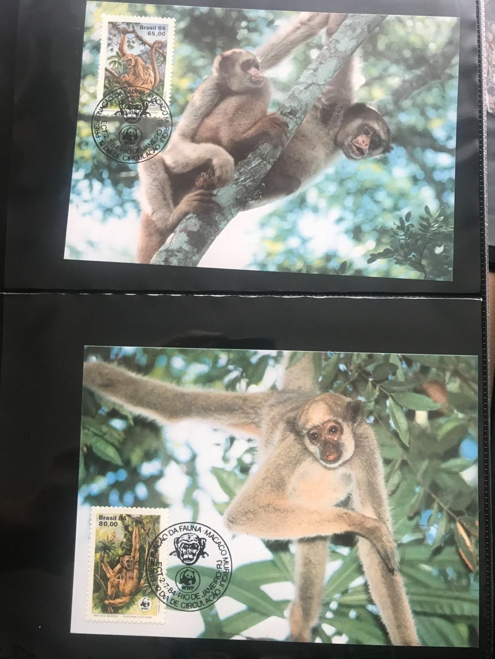 Tutti i francobolli: WWF Brasilien 1984 Spinnenaffe Satz Maximumkarten – Nuovo (secondo la descrizione) da Liestal venduto da schnueps