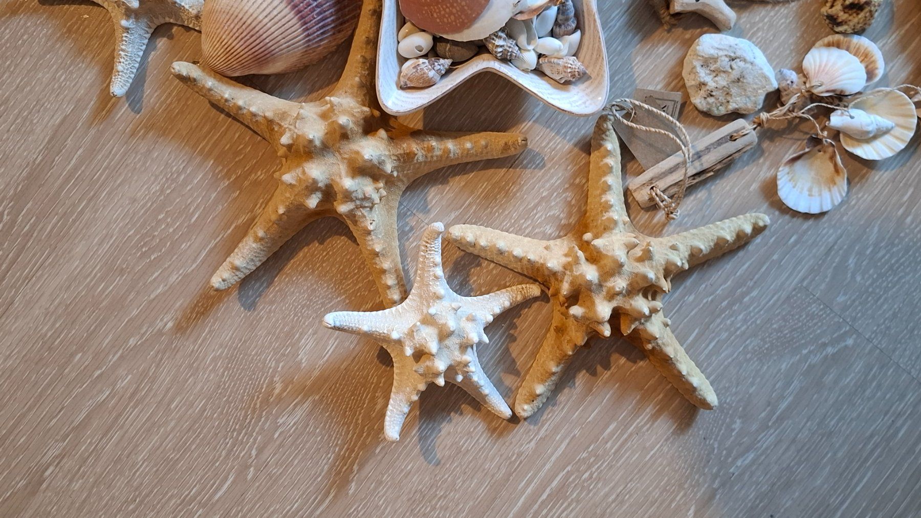 Tutte le decorazioni: Sommer Meer deko – Usato da Pfäffikon SZ venduto da Szabi1981 1