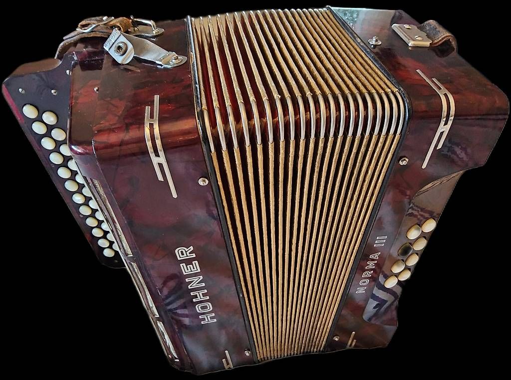 Musikinstrumente: Accordéon diatonique – Gebraucht aus Genève von swissaddress
