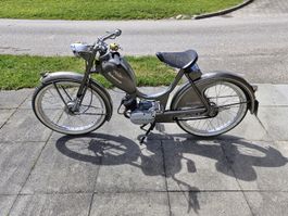 Rabeneick Saxonette