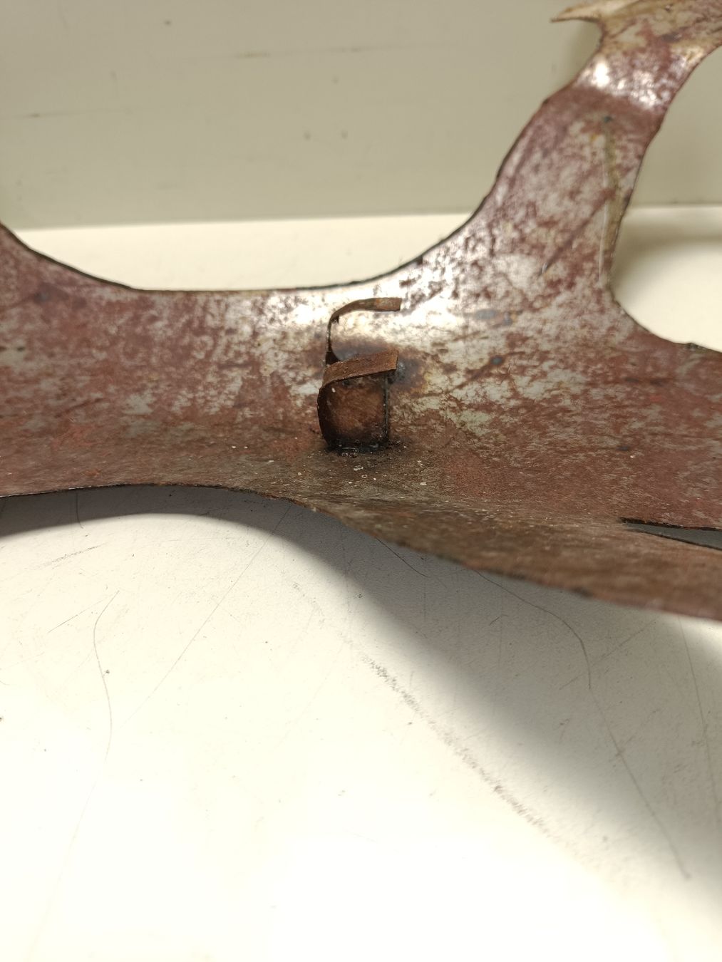Statuette: Dekofigur Gecko Wanddeko(em339) – Usato da Künten venduto da Schnaepplihuus 5