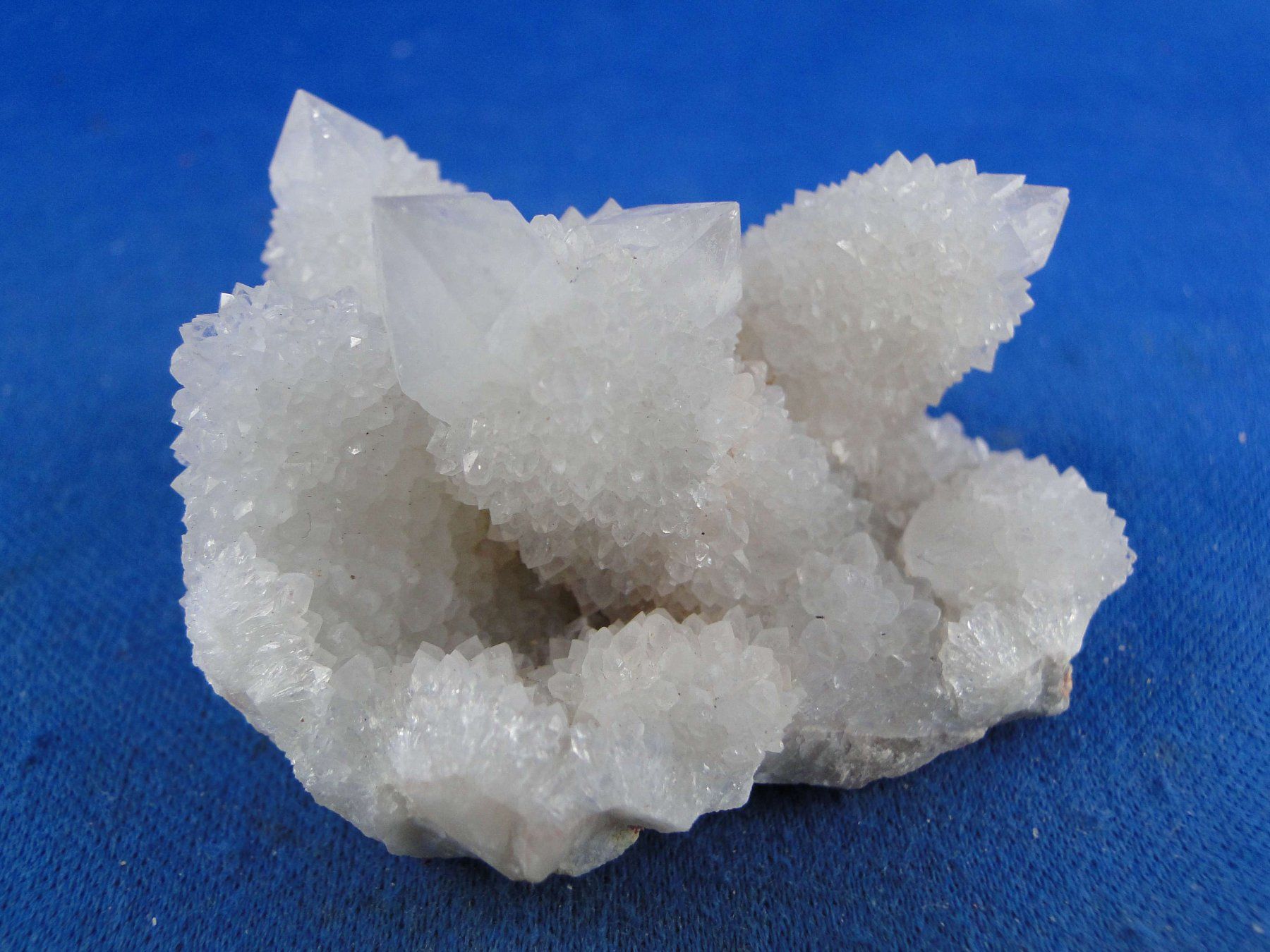 Minerali & Pietre curative: Quartz var. Amethyst & Kaktus – Nuovo e nell'imballaggio originale da Schinznach Bad venduto da Demerald 1