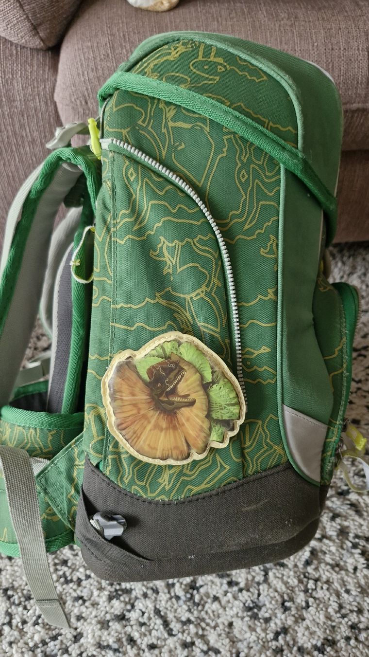 Ergobag Borse & Zaini: Ergobag Cubo DinosauriBär – Usato da Basel venduto da Andrealin 1