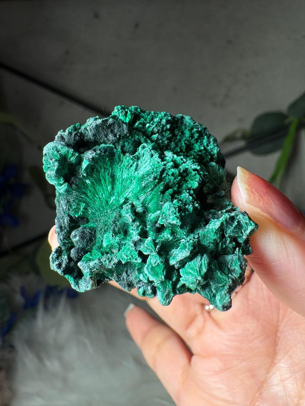 Minerali & Pietre curative: Malachit – Nuovo (secondo la descrizione) da Neuheim venduto da m.hald 3