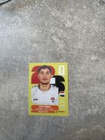 Panini IRQ 16