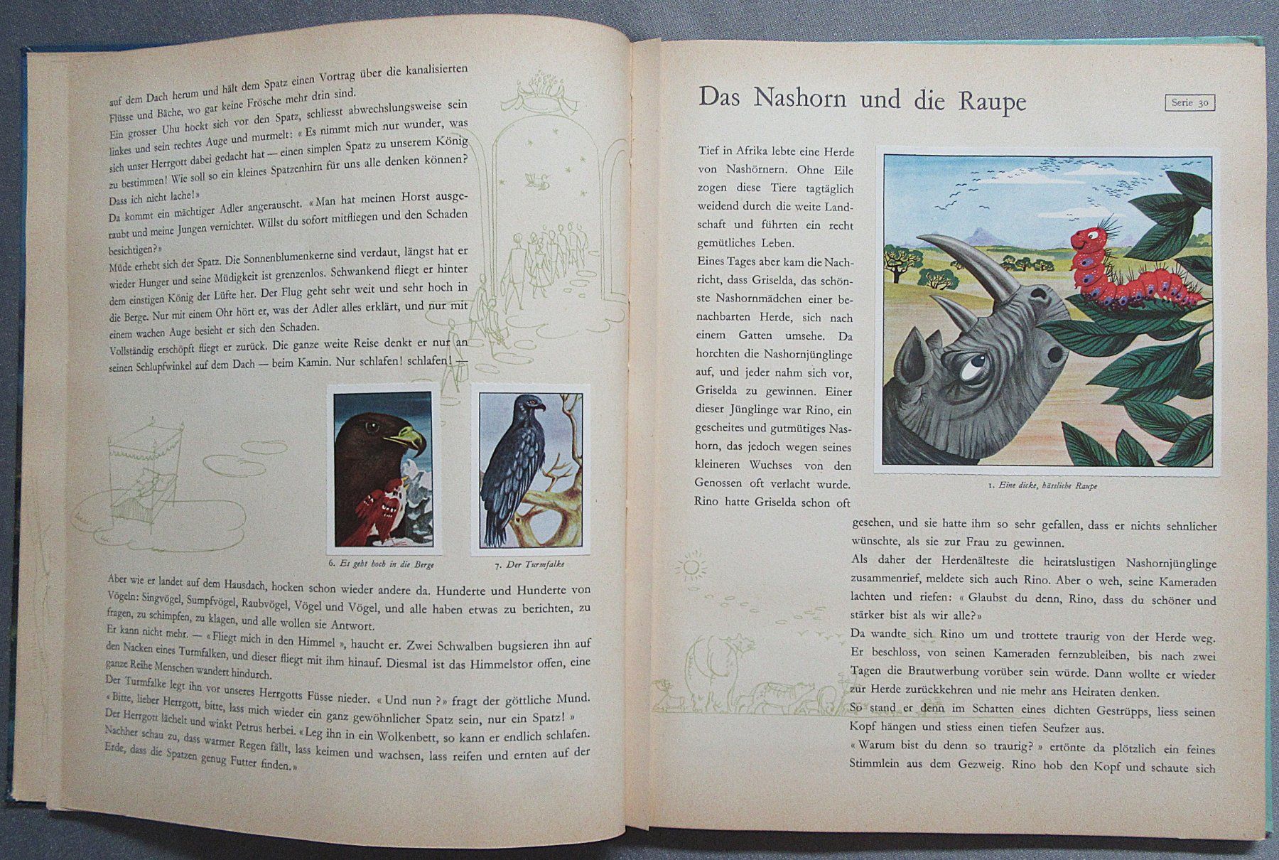 Bücher: 24 Tiermärchen Band 2 - Nestlé Sammelbilder-Einklebebuch – Gebraucht aus Auenstein von Padabimbim 3