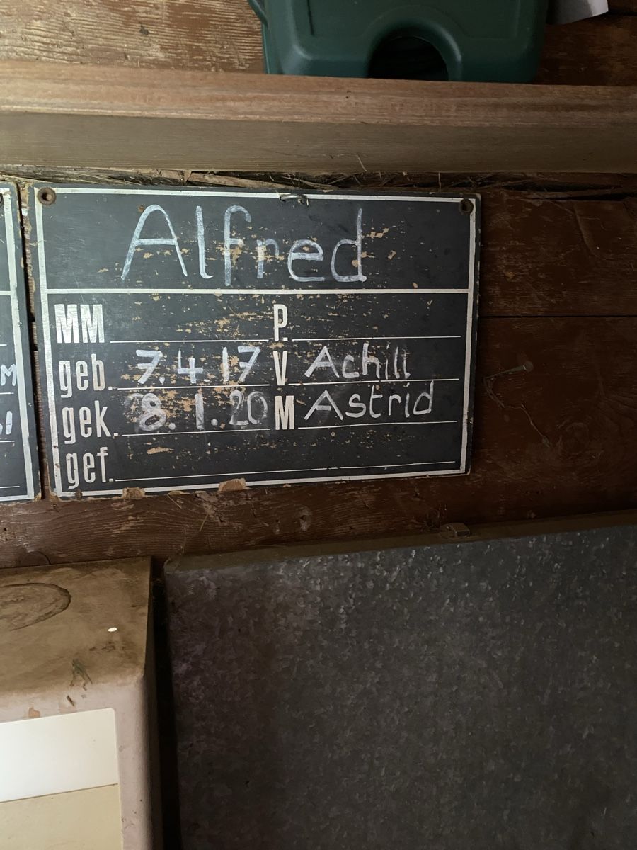 Wandtafeln: Stalltafel – Gebraucht aus Davos Dorf von flusti-3