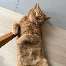 Profile image of mar_flh8