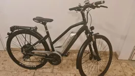 Villiger E-Bike frisch ab Service 