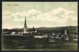 Bero-Münster /Luzern, Blick zur Kirche
