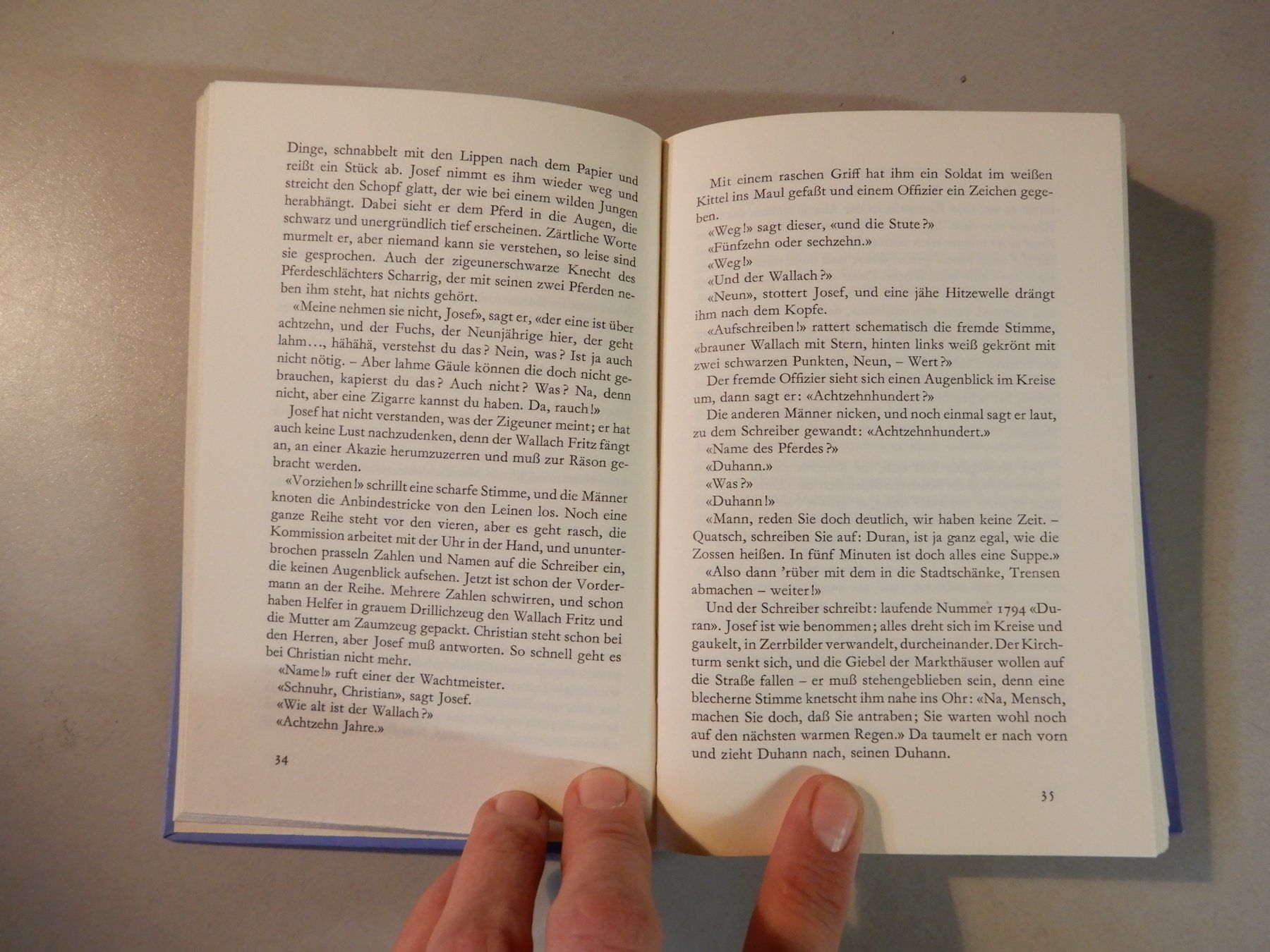 Libri: Gustav Otto Dix - Duran: Ein Pferd unterwegs – Usato da Erstfeld venduto da Mario_boe0 4