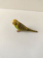 Schleich Wellensittich Vogel Wild Life Deko Zoo Tiere