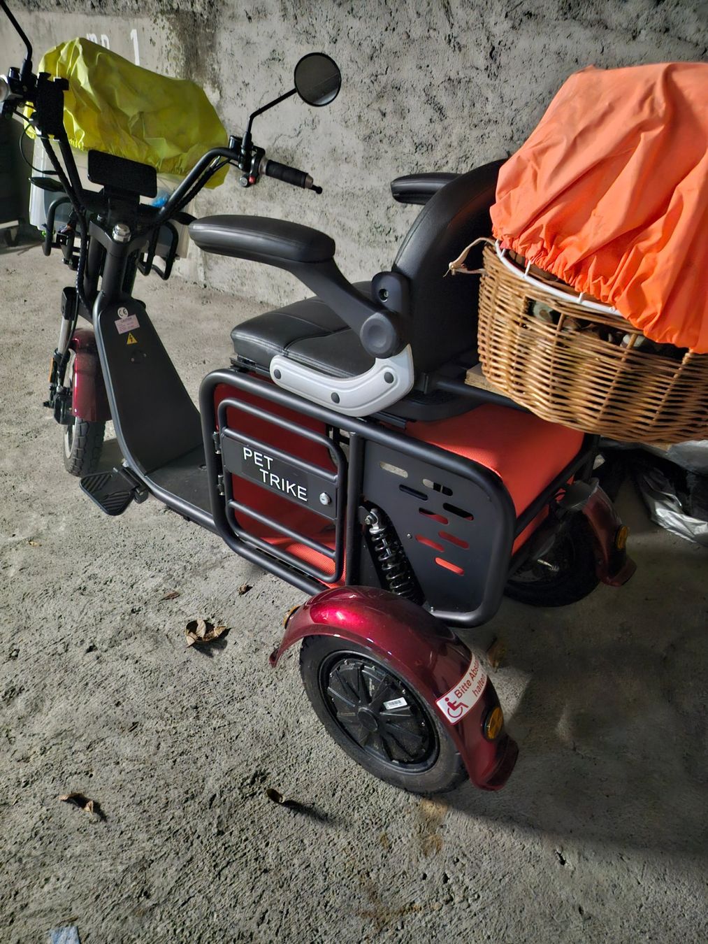 Veicoli elettrici: PET TRIKE ComfortMobility E-Roller von esmoto – Usato da Basel venduto da lovedragon