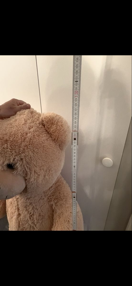 Spielzeuge: Riesiger Teddybär – Neu (gemäss Beschreibung) aus Niederglatt ZH von vul_v86c