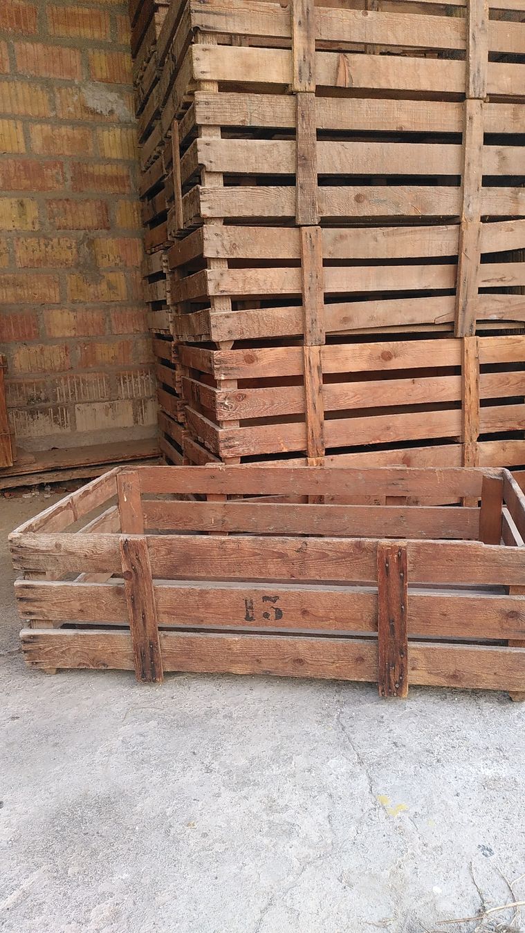 Casse di trasporto: Obstkisten Holz – Usato da Malans GR venduto da basile001 2