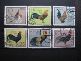 DDR 1979 Geflügelrassen gest