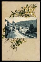 AK Liestal, Ortsansicht mit Denkmal, Blumen