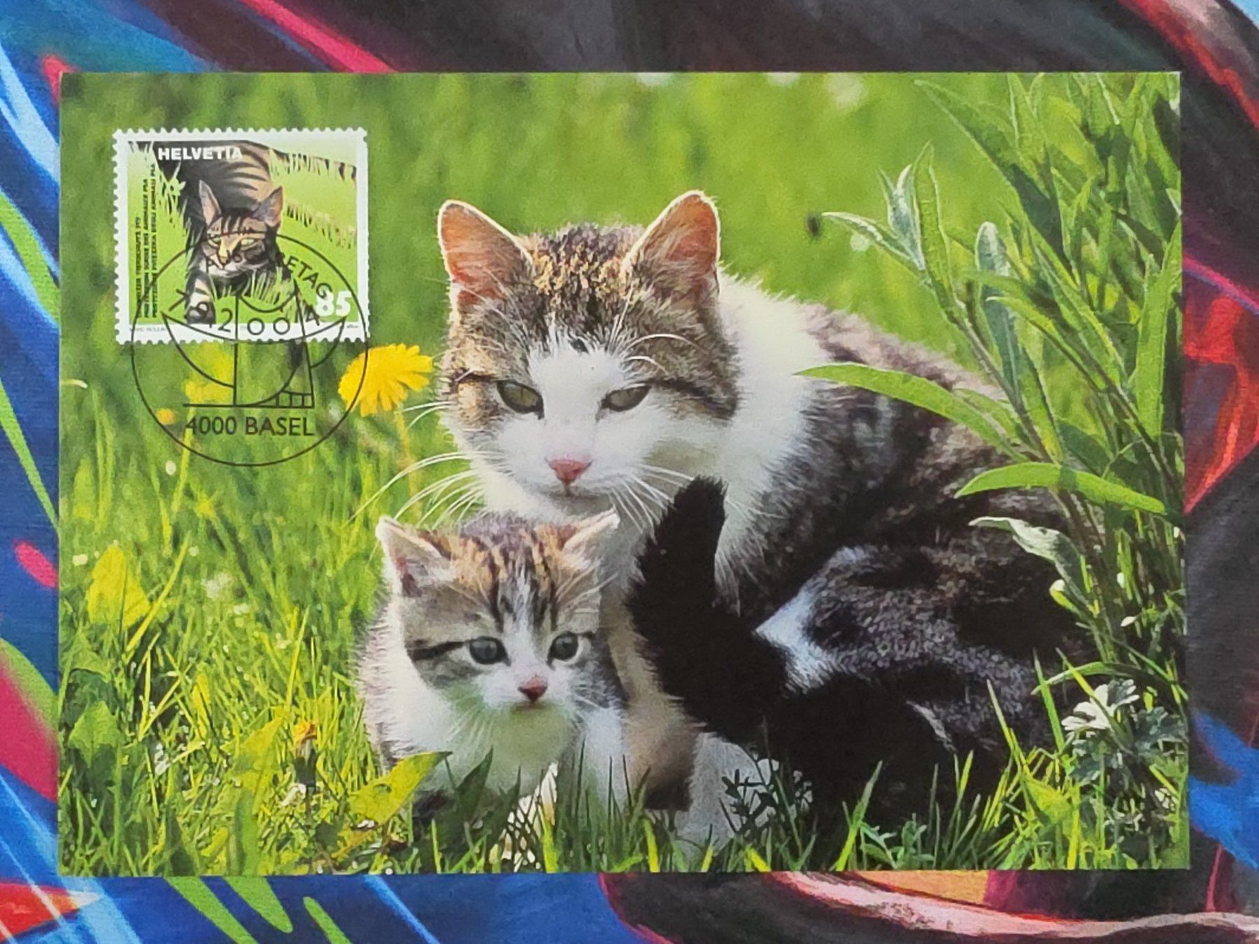 Cartoline postali: CL26 3x Carte Postale + Timbre Suisse 2004 – Usato da Cousset venduto da Patrick_Collections