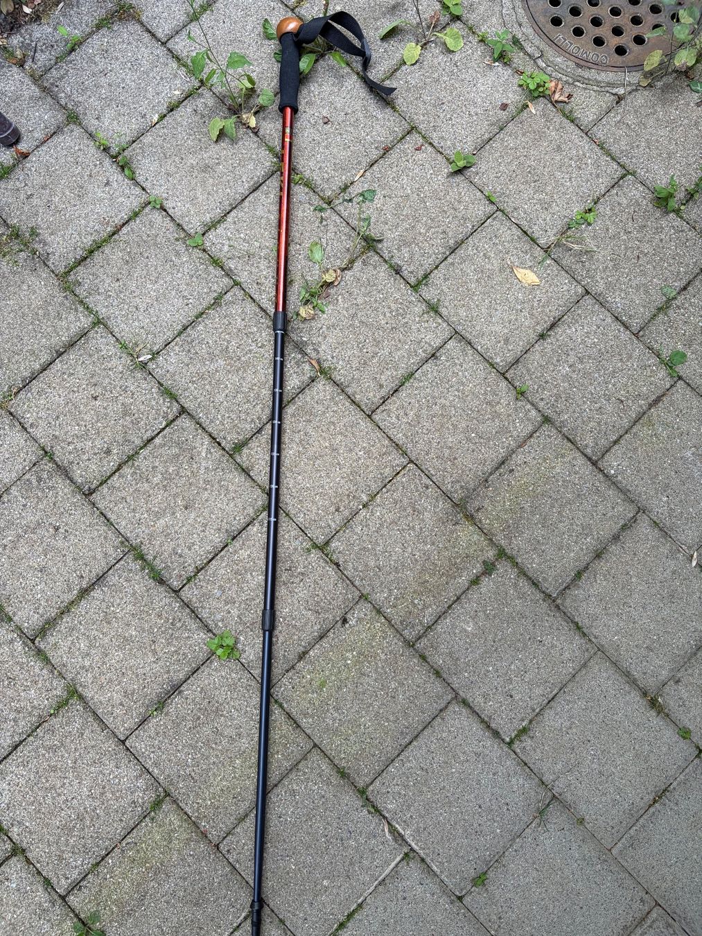 Leki Ausili per la deambulazione: Gehstock, verstellbar – Usato da Haemikon venduto da Helibee