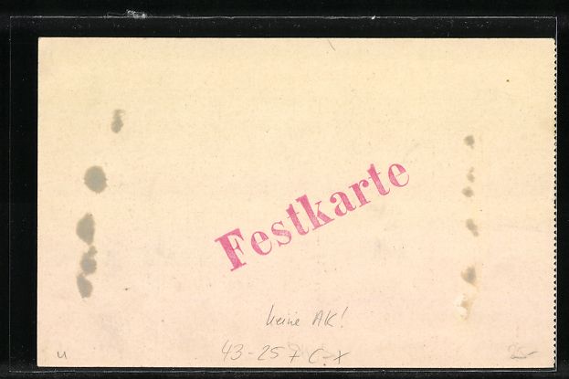 Cartoline postali: Schaffhausen, Kantonal Sängerfest 1907, – Usato da Berlin venduto da bartko-reher 1