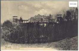 Schloss Charlottenfels Schaffhausen