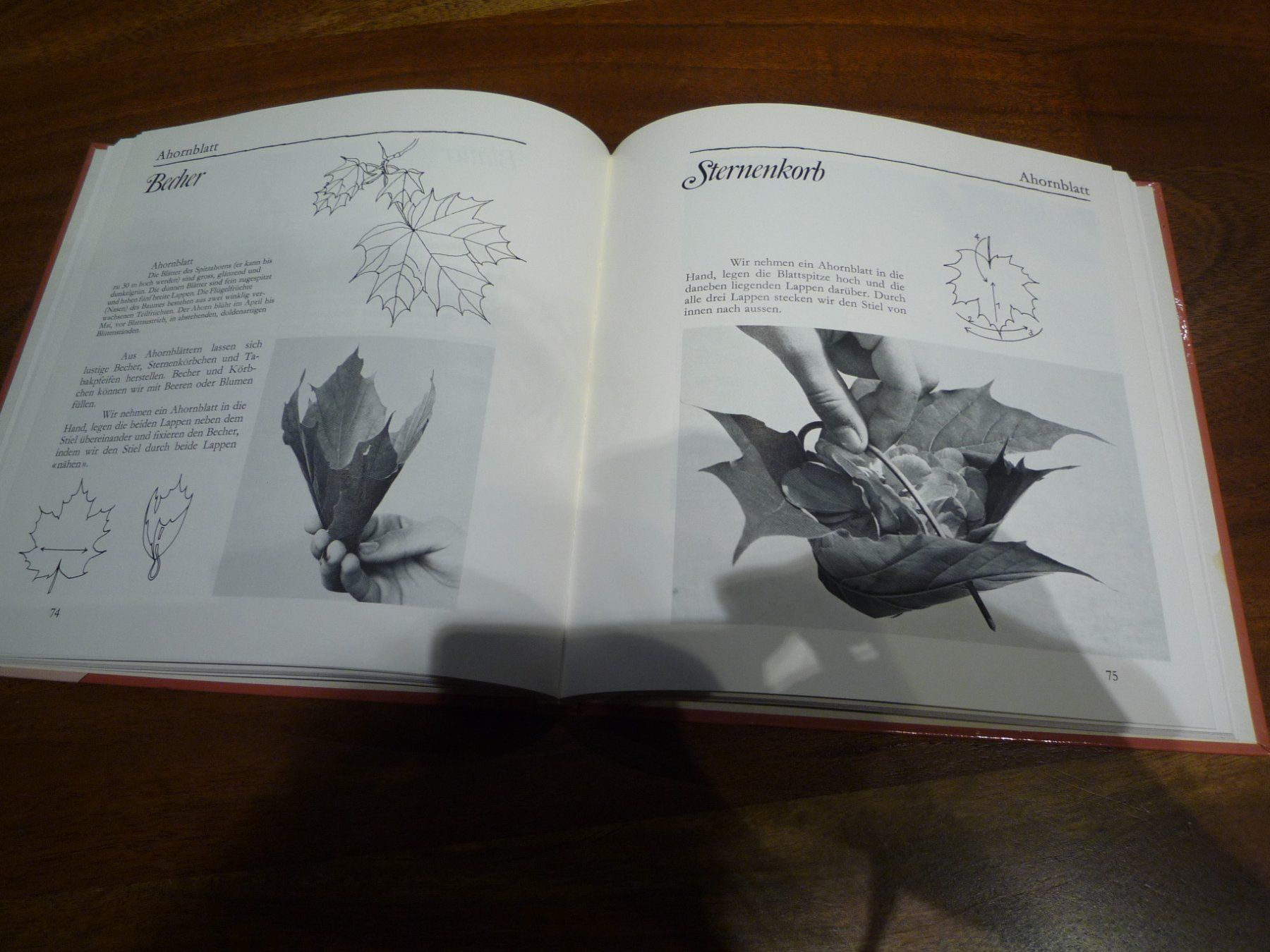 Libri: BUCH NATURSPIELZEUG – Usato da Andwil SG venduto da schmei 2