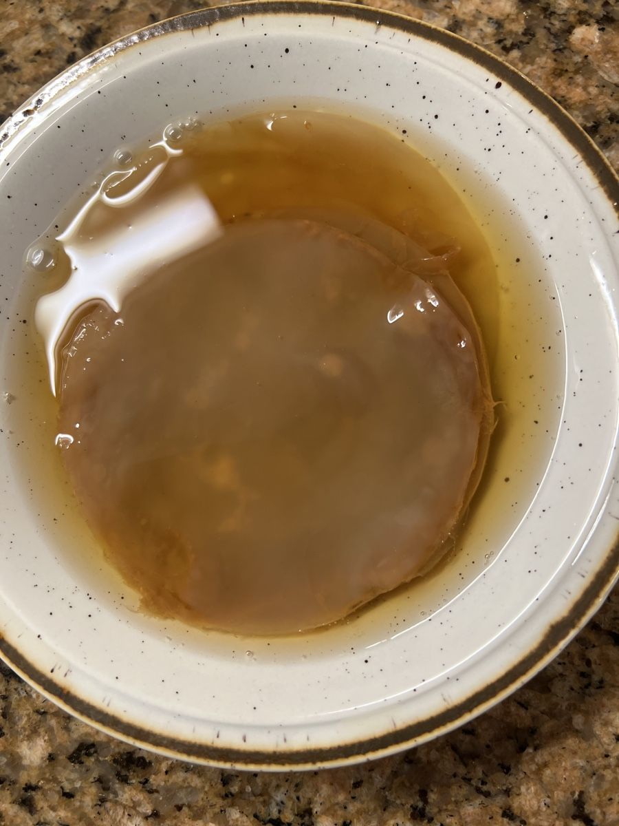 Lebensmittel & Spezialitäten: Kombucha Scoby 4 Stk. – Neu (gemäss Beschreibung) aus Arboldswil von CJDA 1