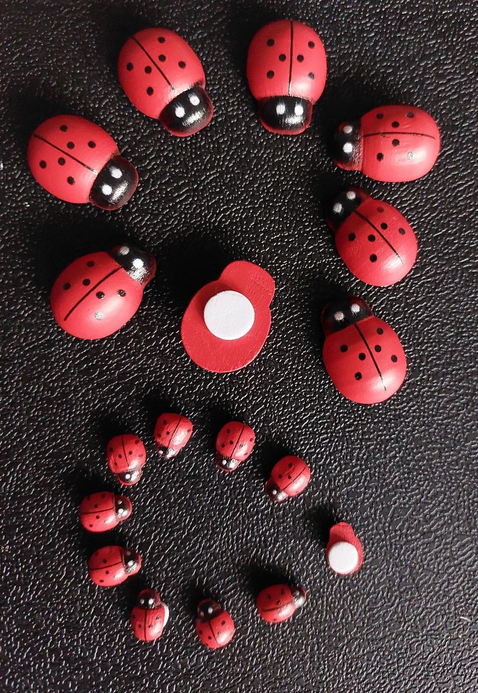 Tutte le decorazioni: Marienkäfer 🐞 2 Größen  – Nuovo (secondo la descrizione) da Unterseen venduto da Ruia3333 1