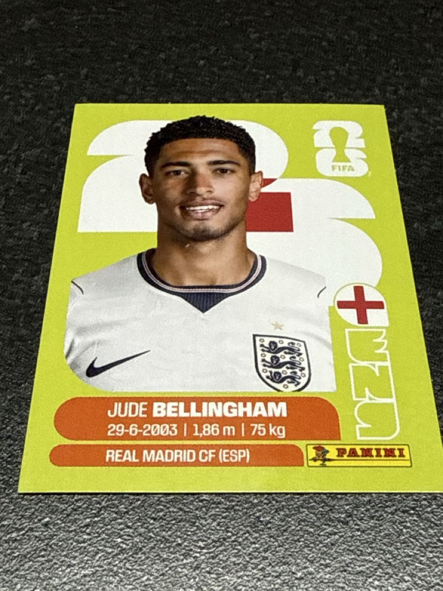 Panini Carte collezionabili: Panini FIFA WM ENG 11 – Nuovo e nell'imballaggio originale da Langwiesen venduto da xan_8pfb