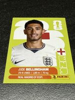 Panini FIFA WM ENG 11