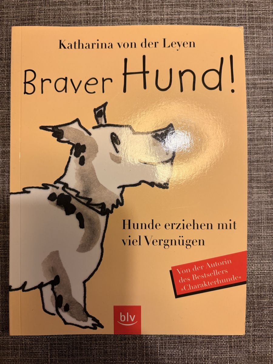 Libri: Kinderbuch, Hund, Lesenlernen, Kinder – Usato da Breitenbach venduto da Alice_xy