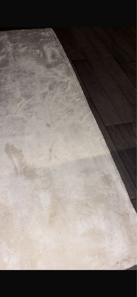 Tappeti: Viskose Teppich nela ivory neu – Nuovo (secondo la descrizione) da Dietikon venduto da lat_8mf6