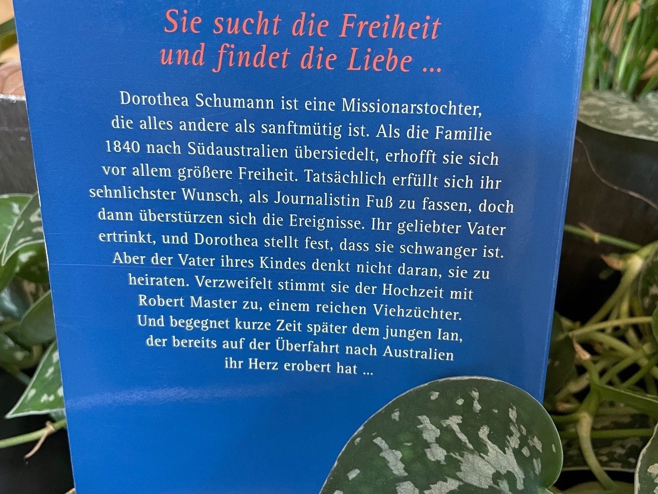 Bücher: Susan Peterson: Wenn der Eukalyptus blüht – Gebraucht aus Emmenbrücke von Ladyboutique 3