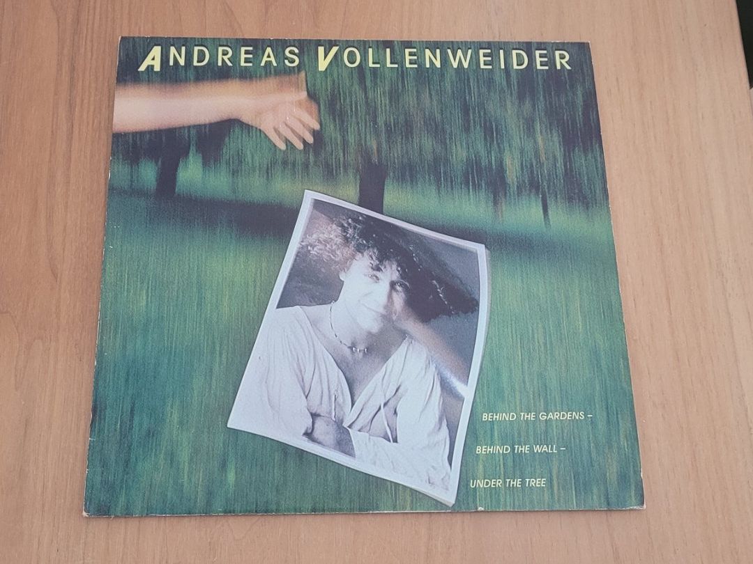 Dischi in vinile: LP Andreas Vollenweider – Usato da Martigny venduto da MZ-67