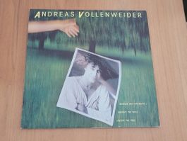 LP Andreas Vollenweider