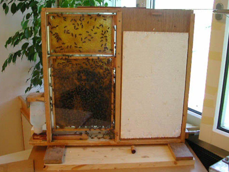 Ruchers: Bienenkasten – D'occasion à Sulgen par Harfe73