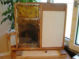 Bienenkasten