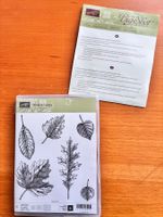 Stampin' Up! Stempelset und Stanzen "Vintage Leaves"