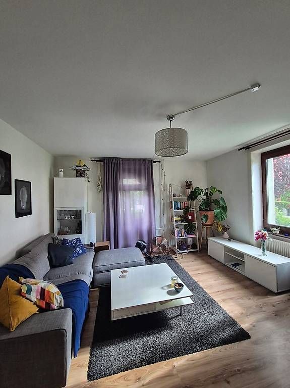 Tappeti: Large dark grey rug – Usato da Zürich venduto da sof_pz8l