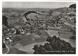 Goldiwil ob Thun (BE) Hotel Waldpark - Flugaufnahme  um 1950