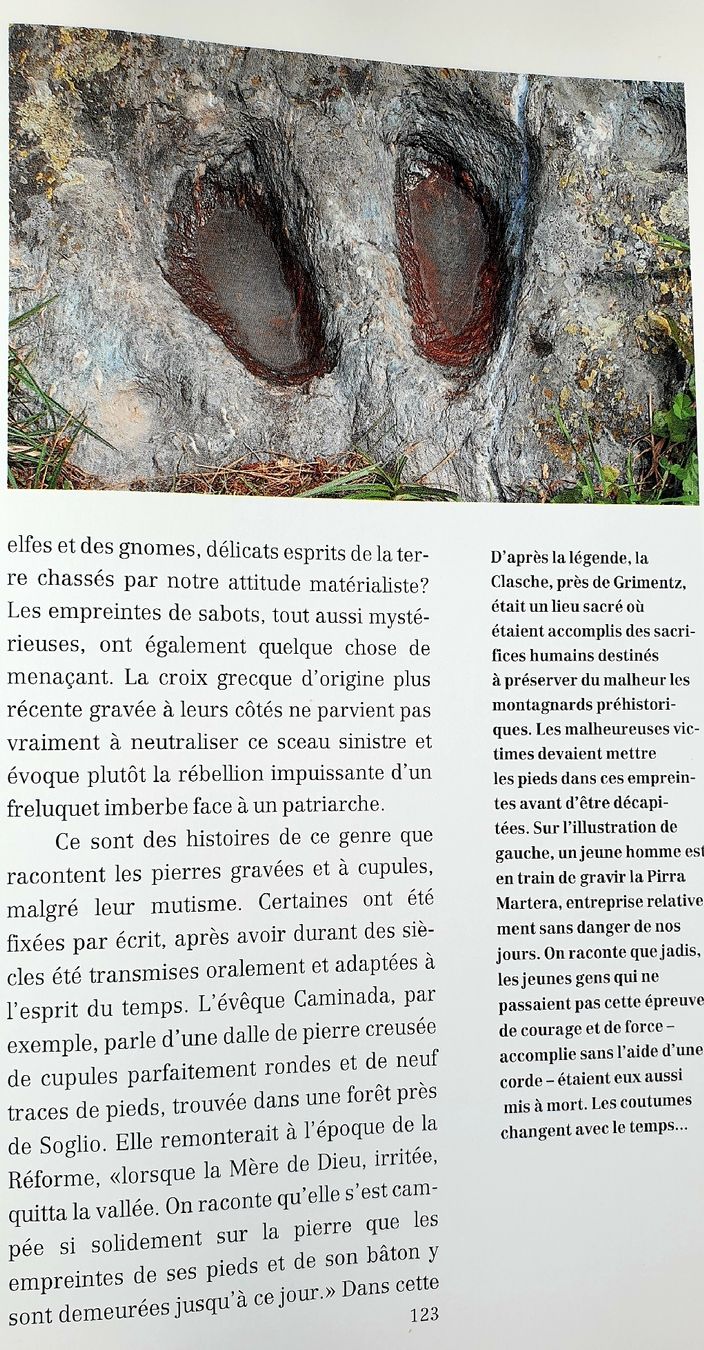 Libri: la Suisse préhistorique – Usato da Hauterive NE venduto da Belem 3