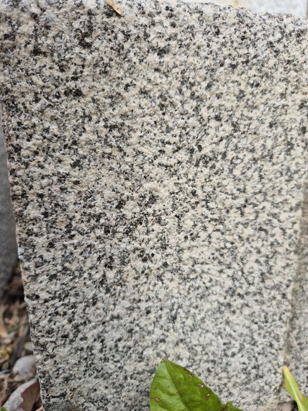 Pierres & tuiles: Bernerstein Gneis 21 Stk – Neuf (Voir description) à Wetzikon ZH par Silberfuchsauge 1