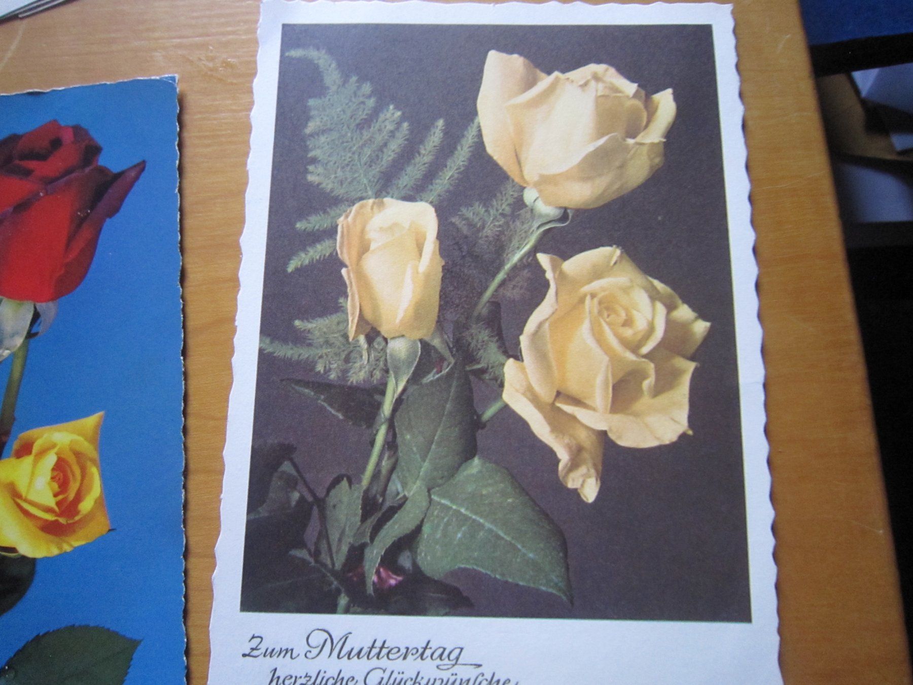 Cartoline postali: No1 schöne Postkarten Thema Rosen – Usato da Gordola venduto da Polentaefung 6