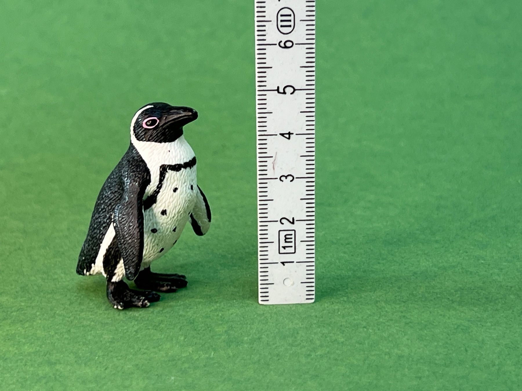 Schleich Statuette: Schleich Brillenpinguin Pinguin 14705 – Usato da Ennetbaden venduto da mapa05 1