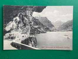 Axenstrasse mit Bristenstock
