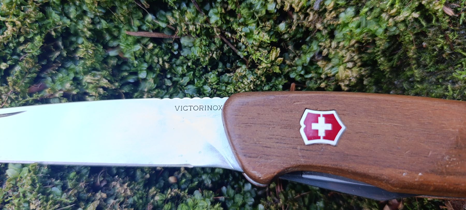 Victorinox Coltelli tascabile: Victorinox Taschenmesser  – Usato da Oppligen venduto da can_rf8g 5