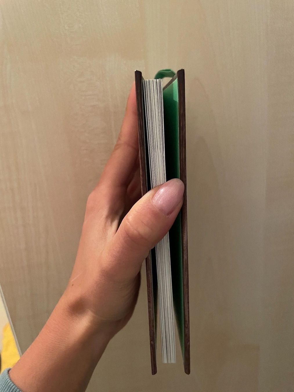 Libri: Kleines Witzebüchlein – Nuovo (secondo la descrizione) da Rheineck venduto da Princessaitaliana 1