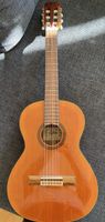 Aria AK-35-58 Gitarre mit Tasche
